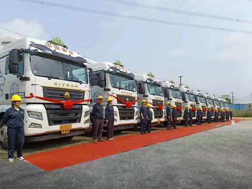交付50輛 汕德卡護航東莞危化運輸效贏一路動物飼養
