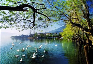 引以為鑒，刀刃向內(nèi)——邛瀘景區(qū)質(zhì)量提升會(huì)后管理優(yōu)化紀(jì)實(shí)